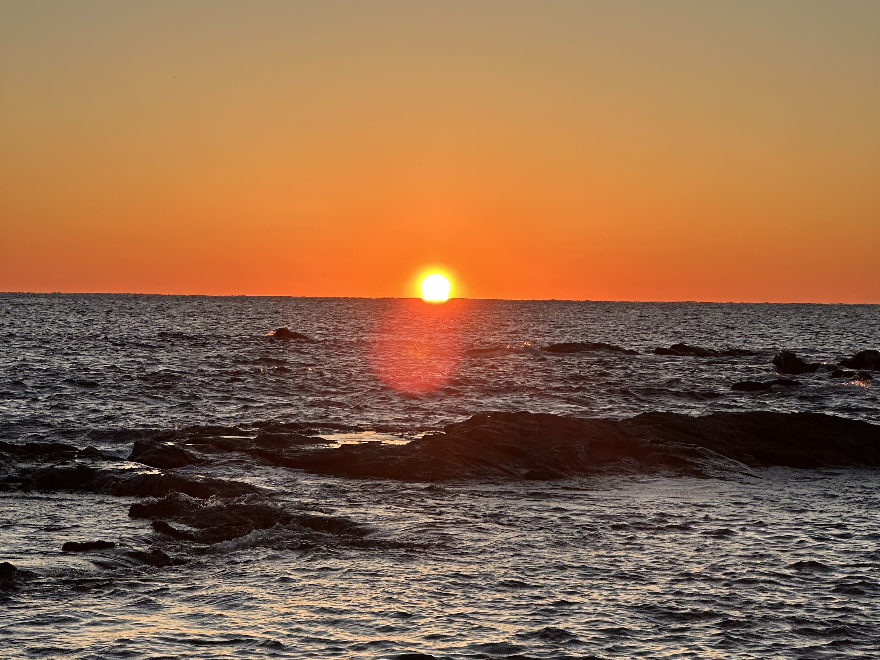 今年もよろしくお願いいたします！